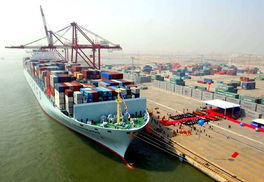 特殊品类时效差异显著