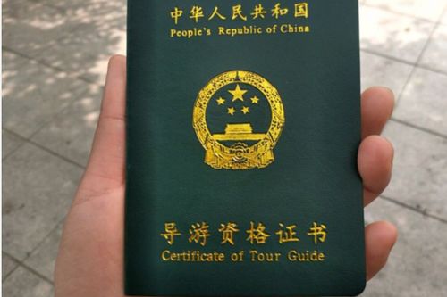 注册资格及限制