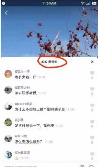 ：抖音种草号的崛起与变现之道