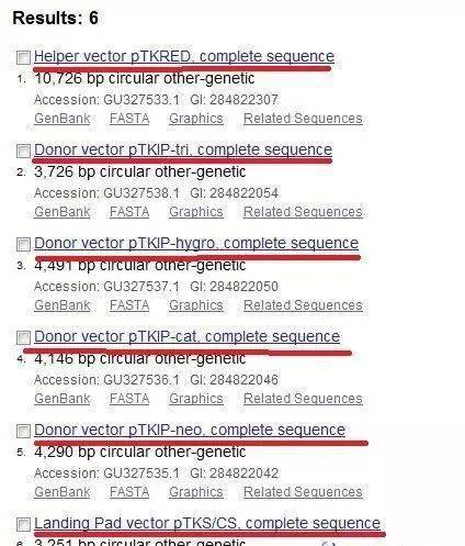 三、 保持一致性，确保图片高质量