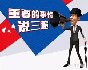 3. 注意产品的分类和标签