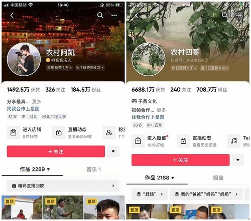 1. 内容创作：打造“真实、亲切、有烟火气”的人设