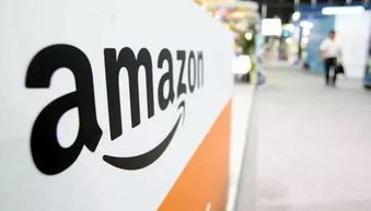 一、 店铺搭建：奠定成功基石