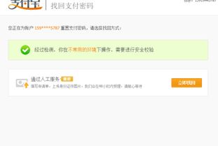 一、Temu支持派安盈支付吗？