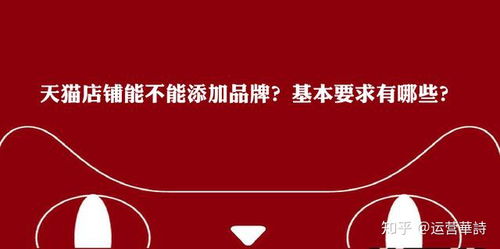 2. 选择店铺类型、 品牌、类目