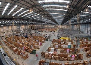 运输网络的动态适配策略