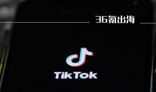 优化光影效果与色彩搭配