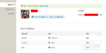 二、淘字号是什么？