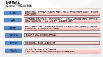 直通车推广与网店分析