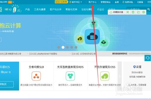2. 在支付宝APP中查询