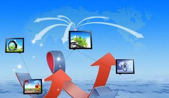 四、电商快排：专业之道，真实流量与优化效果的完美结合