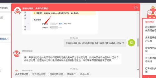 拼多多违规处理概述