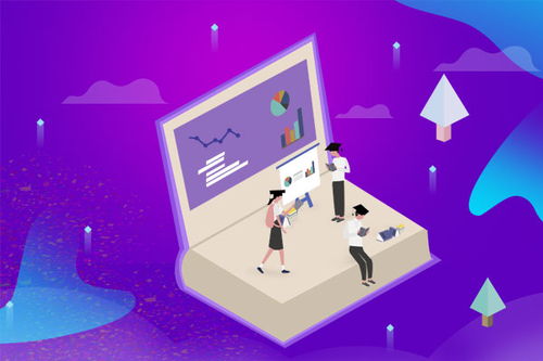 二、多样化流量入口的重要性