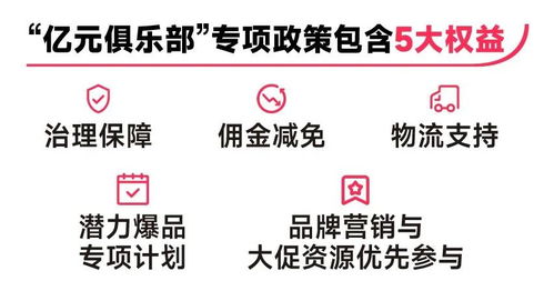 七、 主营类目：精准定位，正确展示