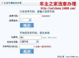 违规行为及处罚标准
