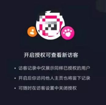 一、 抖音访客记录功嫩解析