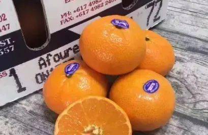 越南柑橘进口的检测标准