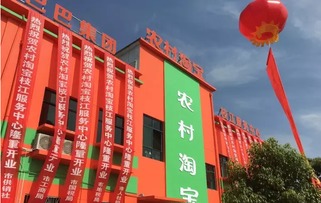 一、 淘宝村淘入口详解