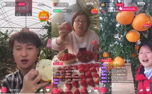 一、 淘宝直播团队的重要性