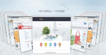 Newegg：电子商品领域的翘楚