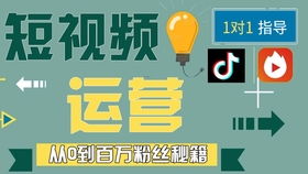 一、 快手橱窗带货：开启电商新篇章