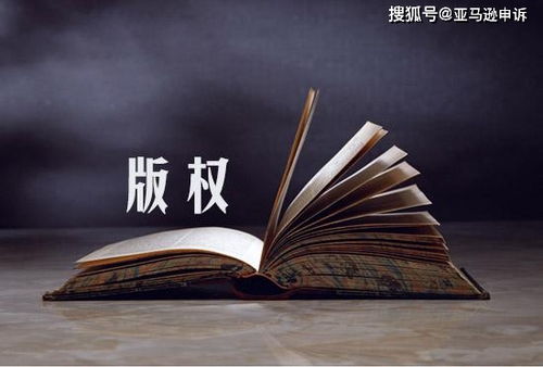 版权侵权：作品独创性的保护