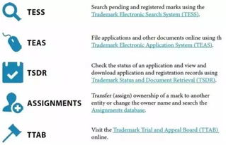 准备并提交商标申请：TEAS系统与申请材料