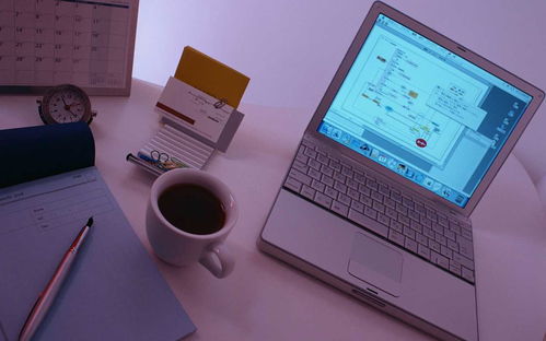 数据分析：基础与全面的差异