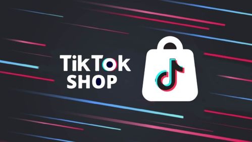 一、 Lazada、Shopee、TikTok三大平台概述