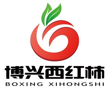 4. 增强品牌影响力