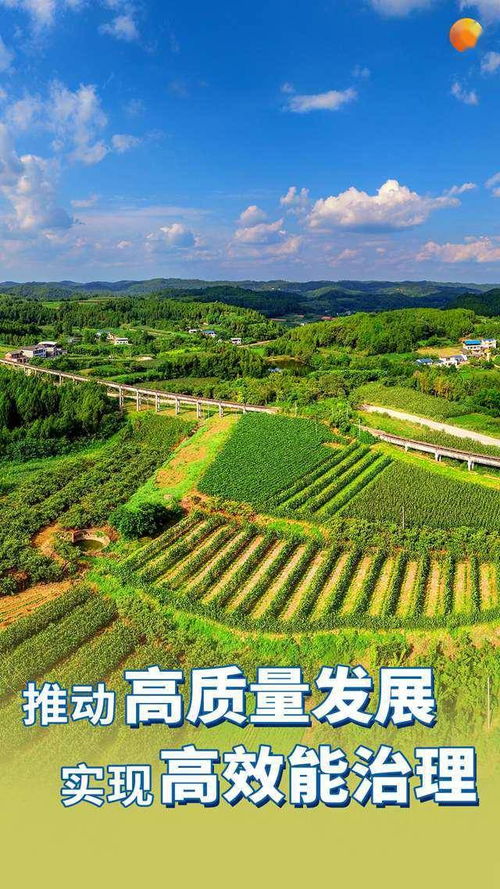 去年7月， 启动了“益起寻美”乡村旅游计划，包括开设“益起寻美旅游旗舰店”公益店铺、落地乡村农旅人才培训、招募乡村旅游设计官等内容