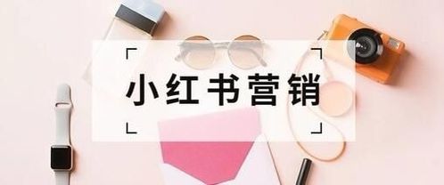 四、 直播带货效果与数据分析