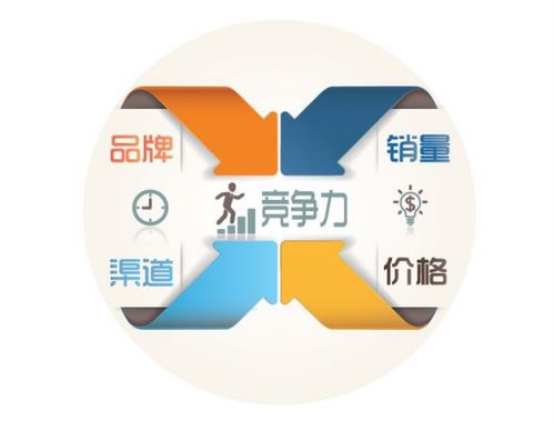 4. 市场推广和品牌建设