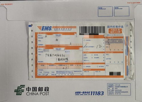 4. 人员费用、 行政管理费及税收、保险费用和货物损失的赔偿等