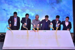 公益项目多样化：助力乡村发展、 环保、生态保护