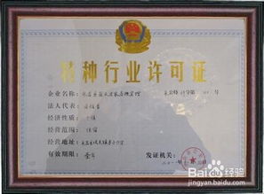 2. 执照办理指南