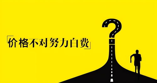 四、 加强品牌建设：提升消费者认知和好感度