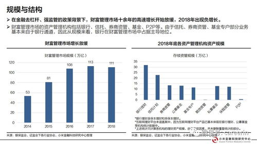 ：全面分析， 精准规划