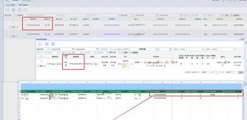 一、TikTok面单尺寸标准解析