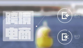 律法法规与业务规则的严格遵守