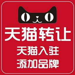 二、 天猫店铺推广途径概述