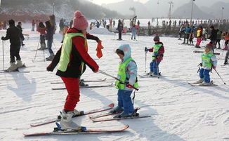 冰雪游热度高涨， 南方人冰雪情结显现