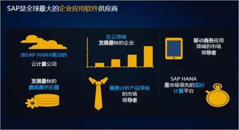 2025年Ozon推出多项跨境卖家利好政策