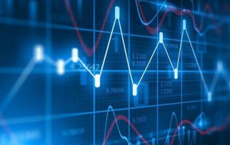 四、 规避侵权风险