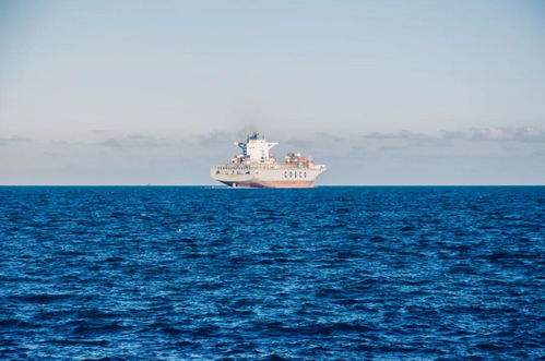 海运：传统而稳健的选择