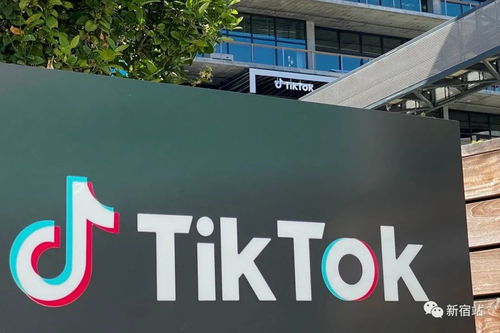 三、 长尾关键词的挖掘与运用