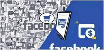 二、 实操阶段的核心内容