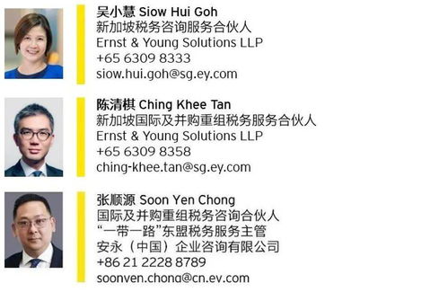 新加坡公司的注册流程