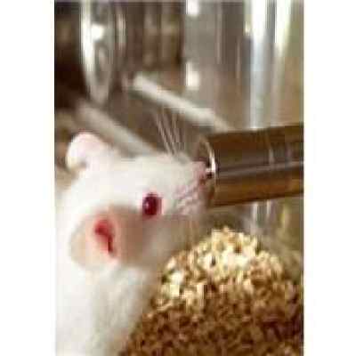 实验动物笼具零担运输的核心要求