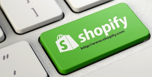 四、 Shopify与Payoneer对接：高效资金管理的保障